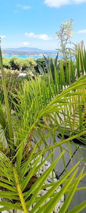 Vue Mer Imprenable Et Piscine 邦多勒 外观 照片